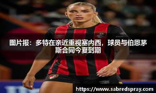 图片报：多特在亲近重视塞内西，球员与伯恩茅斯合同今夏到期